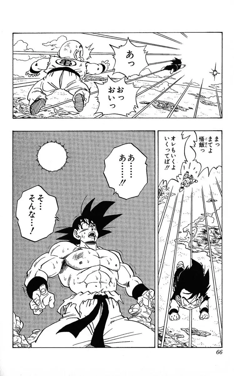 Chapitre 20 — Dragon Ball (Édition Japonaise) Vol. 20 — page 66
