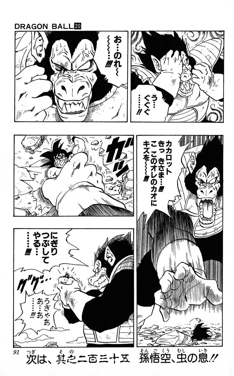 Chapitre 20 — Dragon Ball (Édition Japonaise) Vol. 20 — page 91