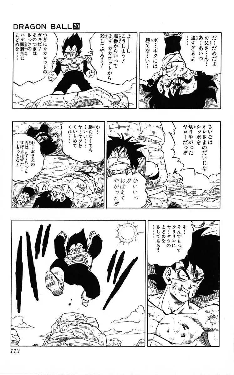 Chapitre 20 — Dragon Ball (Édition Japonaise) Vol. 20 — page 113