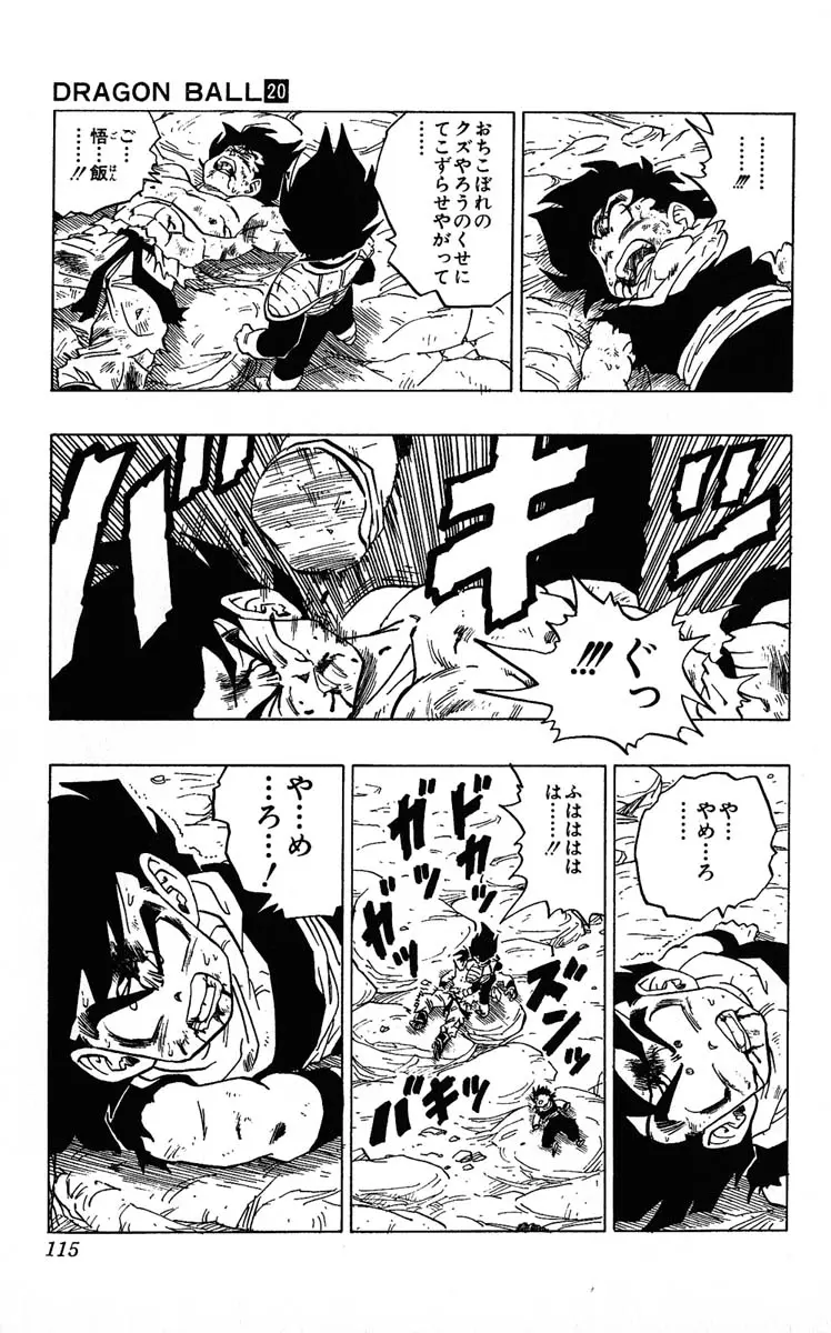 Chapitre 20 — Dragon Ball (Édition Japonaise) Vol. 20 — page 115