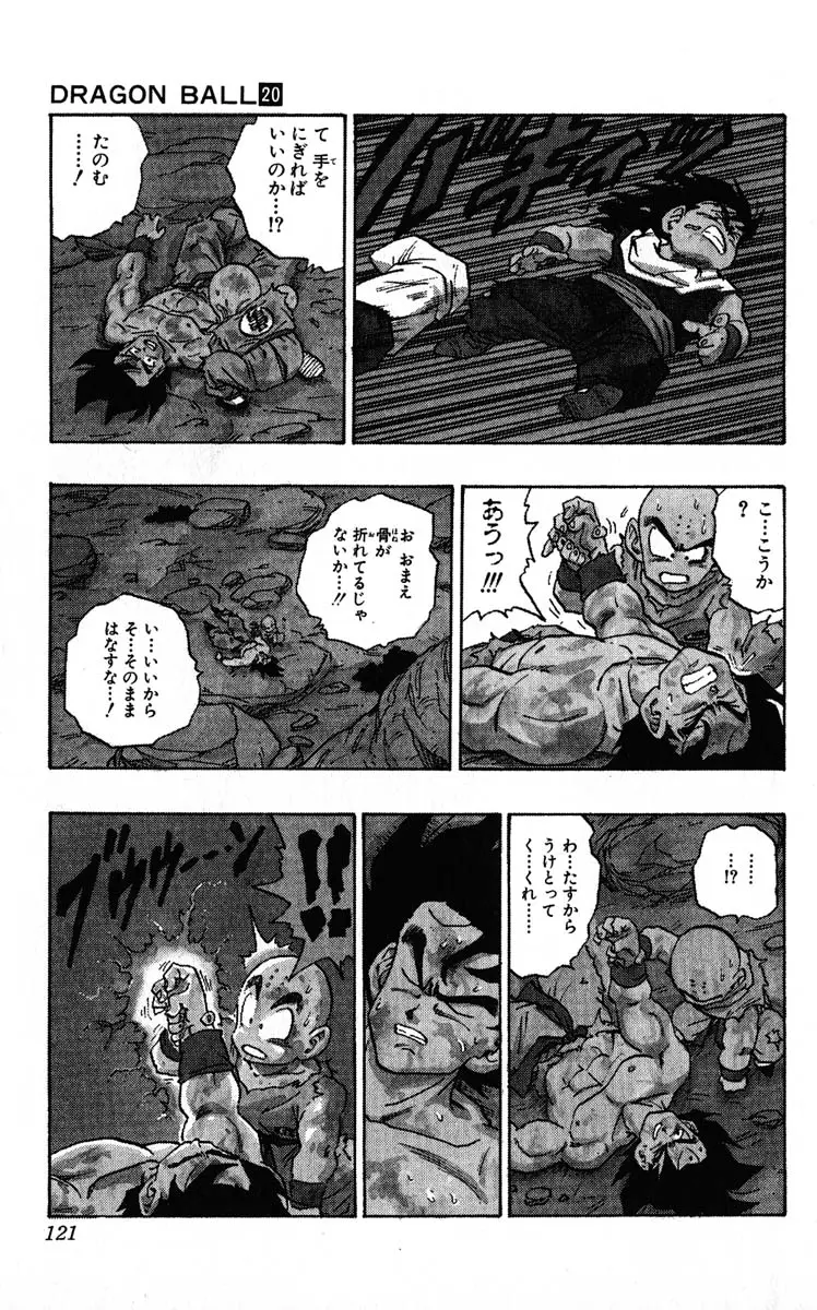 Chapitre 20 — Dragon Ball (Édition Japonaise) Vol. 20 — page 121