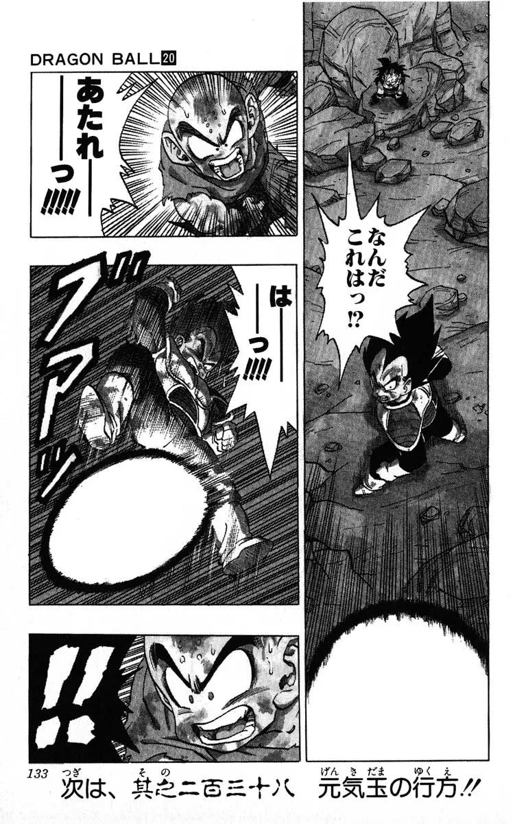 Chapitre 20 — Dragon Ball (Édition Japonaise) Vol. 20 — page 133