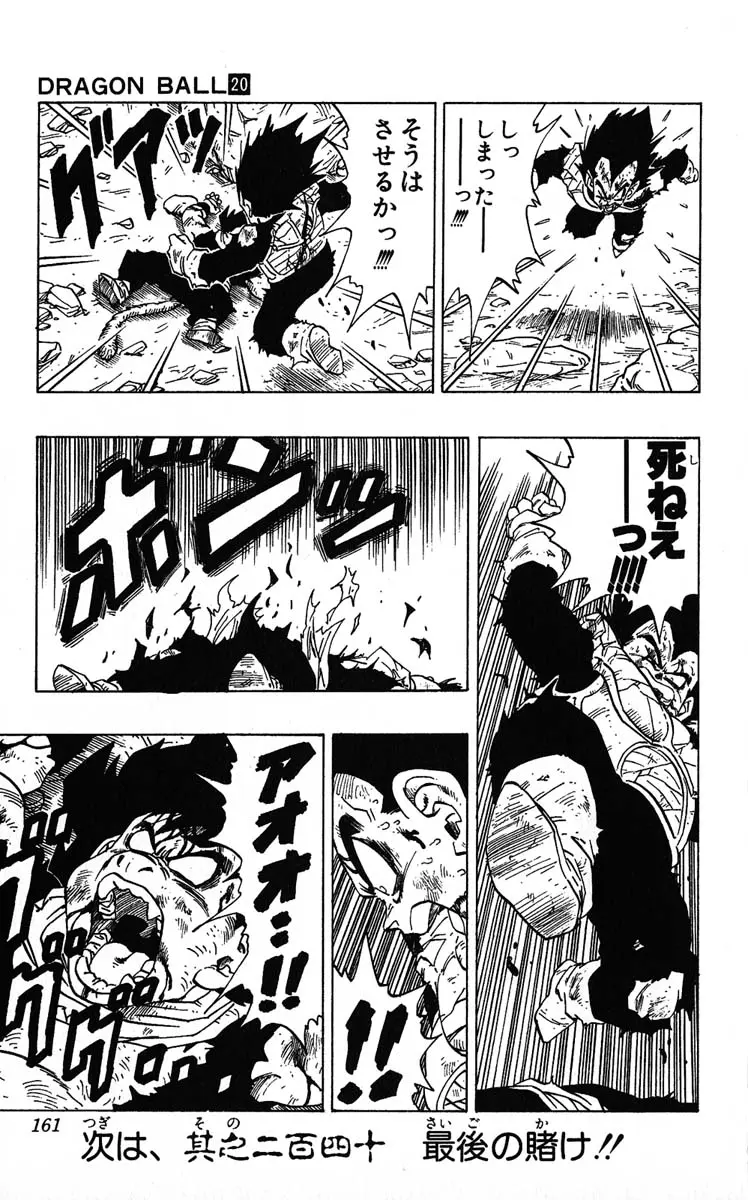 Chapitre 20 — Dragon Ball (Édition Japonaise) Vol. 20 — page 161
