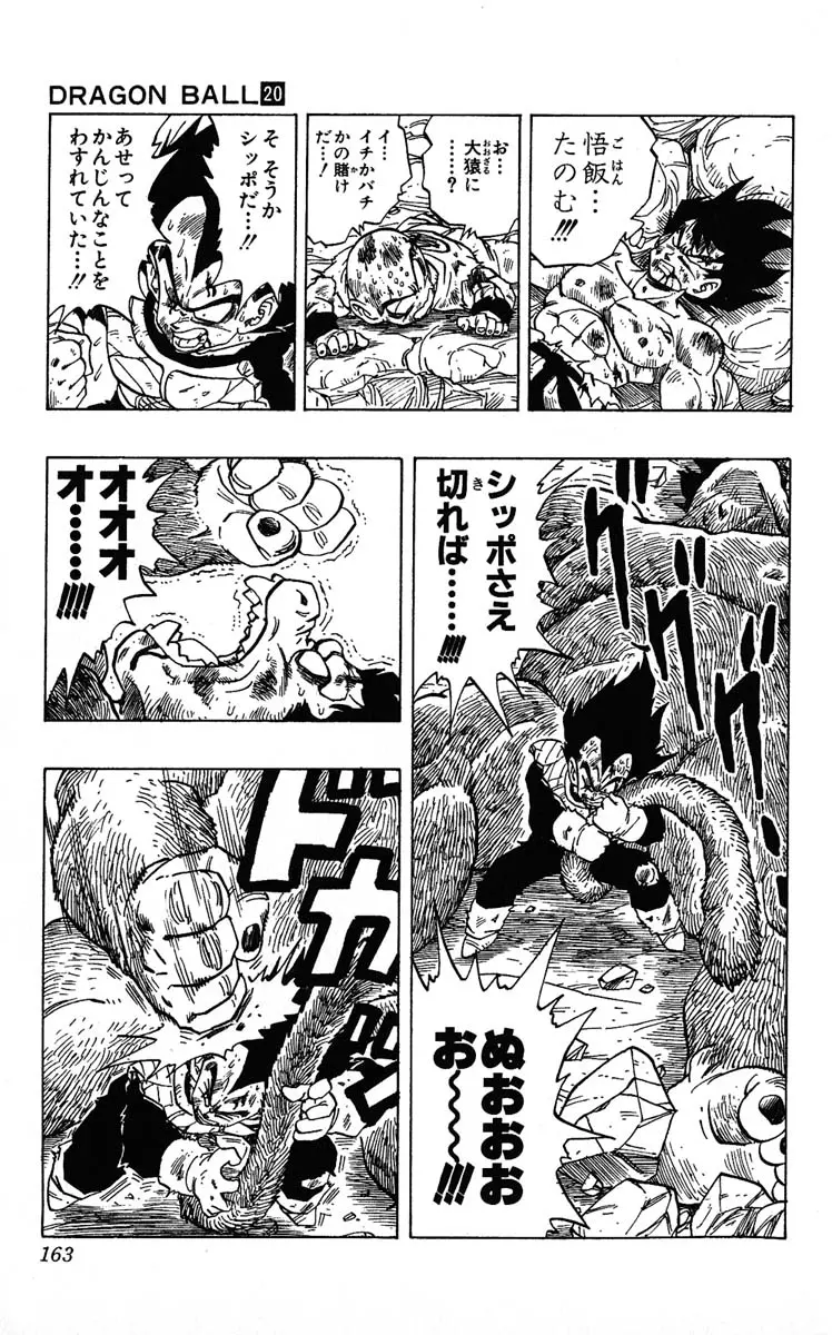 Chapitre 20 — Dragon Ball (Édition Japonaise) Vol. 20 — page 163