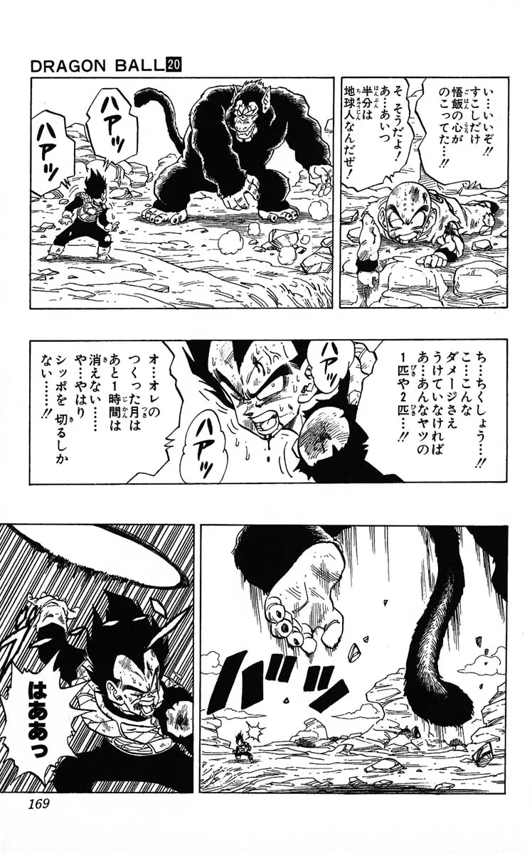 Chapitre 20 — Dragon Ball (Édition Japonaise) Vol. 20 — page 169
