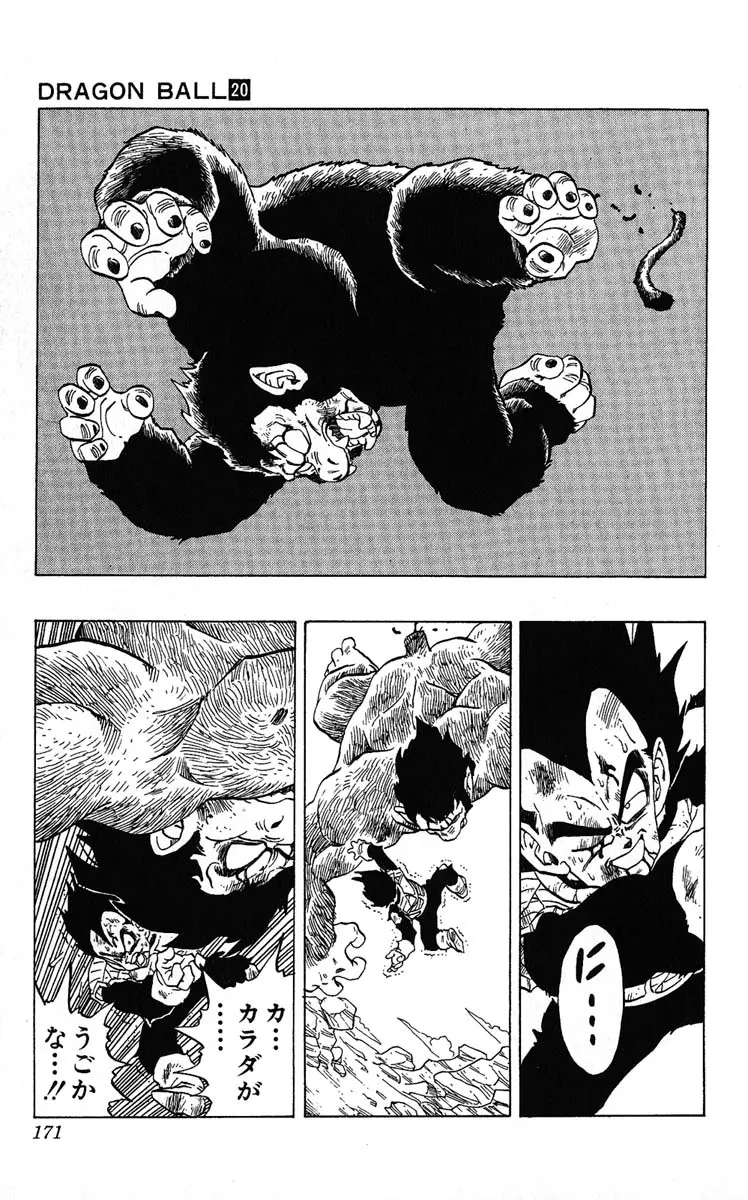 Chapitre 20 — Dragon Ball (Édition Japonaise) Vol. 20 — page 171