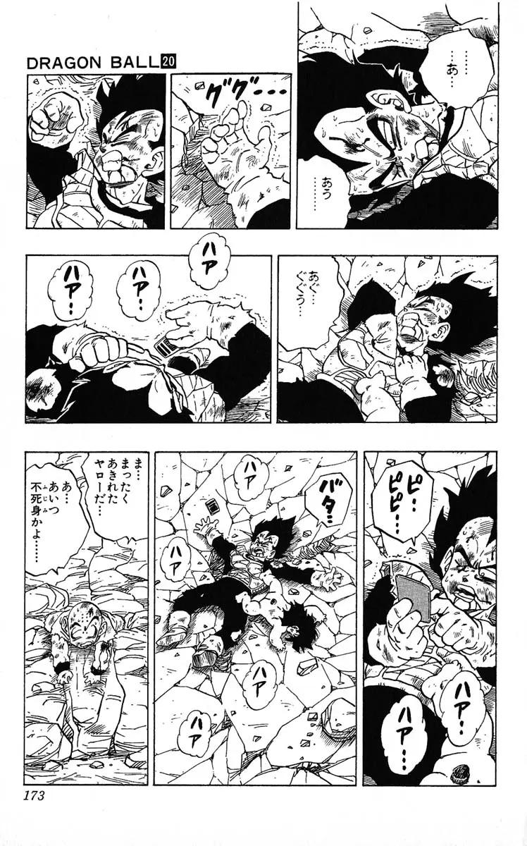 Chapitre 20 — Dragon Ball (Édition Japonaise) Vol. 20 — page 173