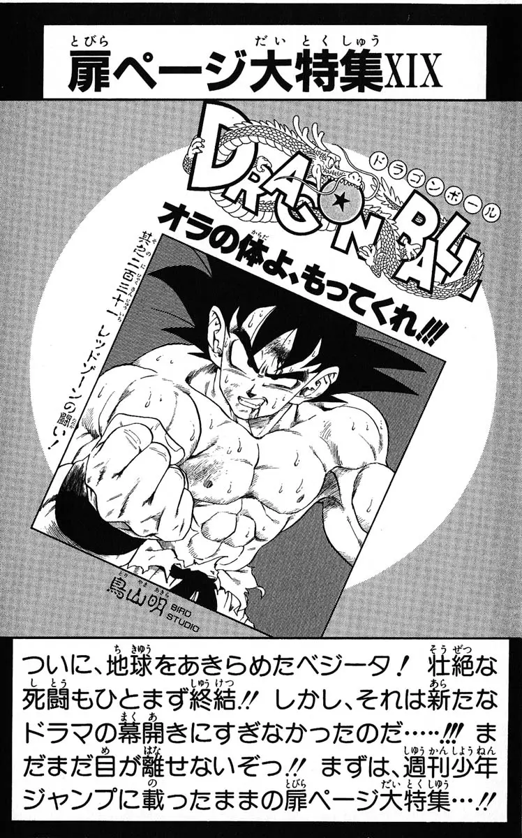Chapitre 20 — Dragon Ball (Édition Japonaise) Vol. 20 — page 176