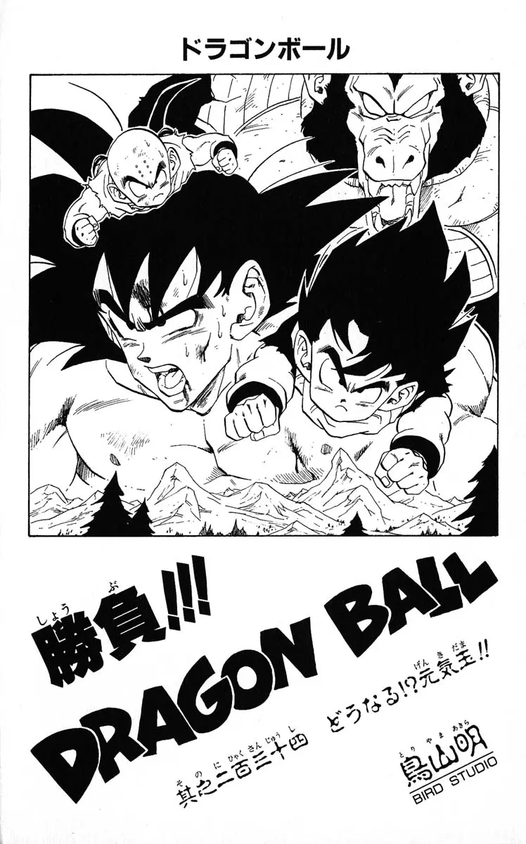Chapitre 20 — Dragon Ball (Édition Japonaise) Vol. 20 — page 179