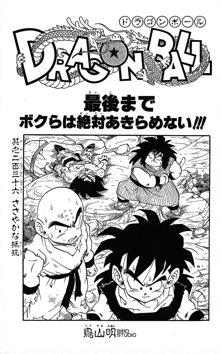 Chapitre 20 — Dragon Ball (Édition Japonaise) Vol. 20 — page 181