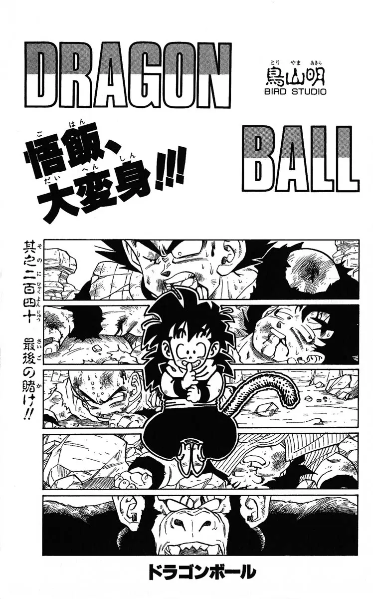 Chapitre 20 — Dragon Ball (Édition Japonaise) Vol. 20 — page 185