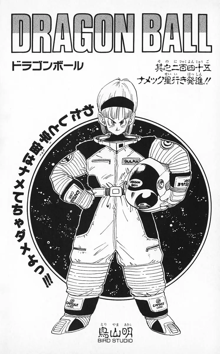 Chapitre 21 — Dragon Ball (Édition Japonaise) Vol. 21 — page 181