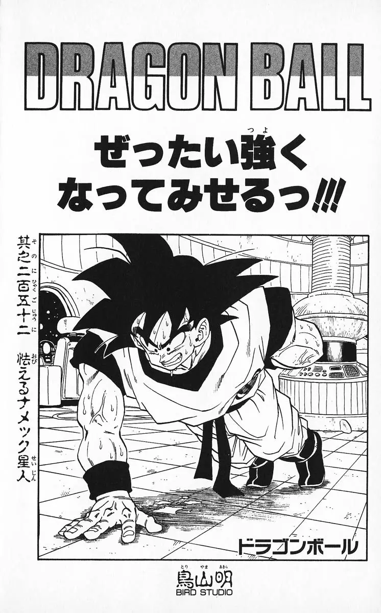 Chapitre 21 — Dragon Ball (Édition Japonaise) Vol. 21 — page 187