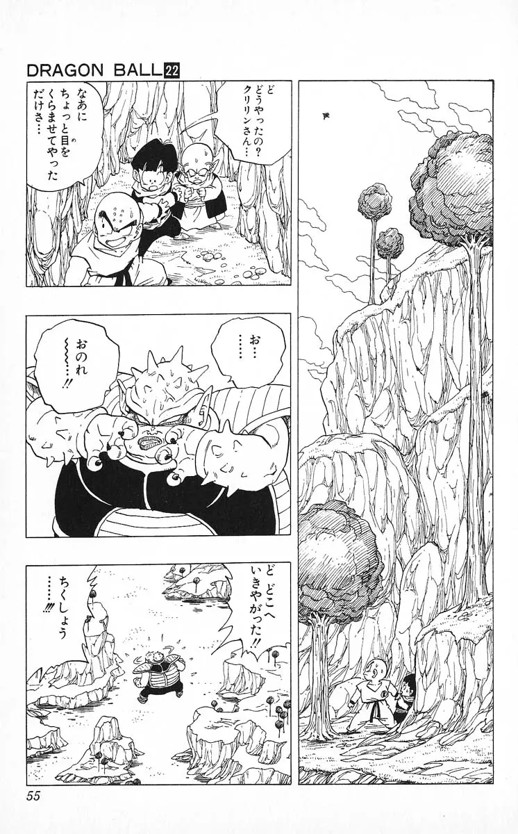 Chapitre 22 — Dragon Ball (Édition Japonaise) Vol. 22 — page 55