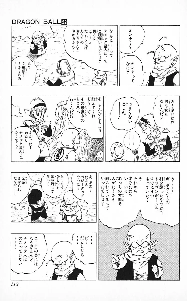 Chapitre 22 — Dragon Ball (Édition Japonaise) Vol. 22 — page 113