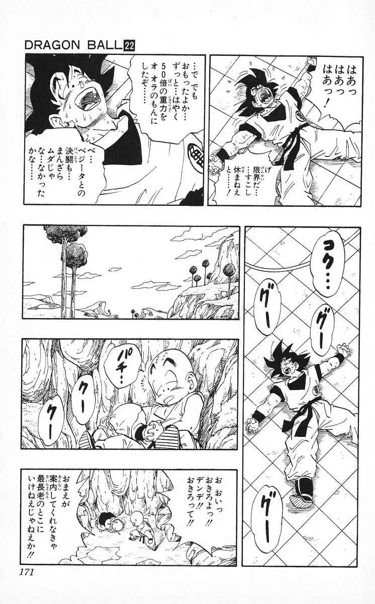Chapitre 22 — Dragon Ball (Édition Japonaise) Vol. 22 — page 171