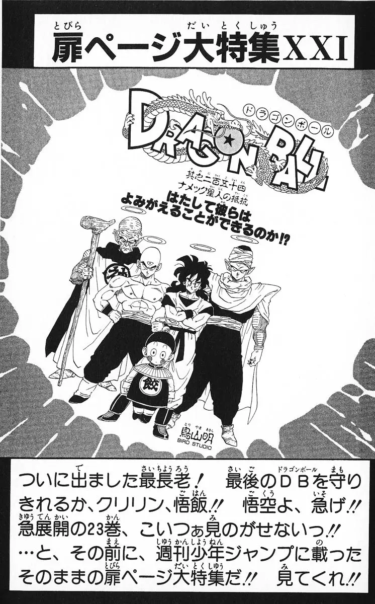 Chapitre 22 — Dragon Ball (Édition Japonaise) Vol. 22 — page 176