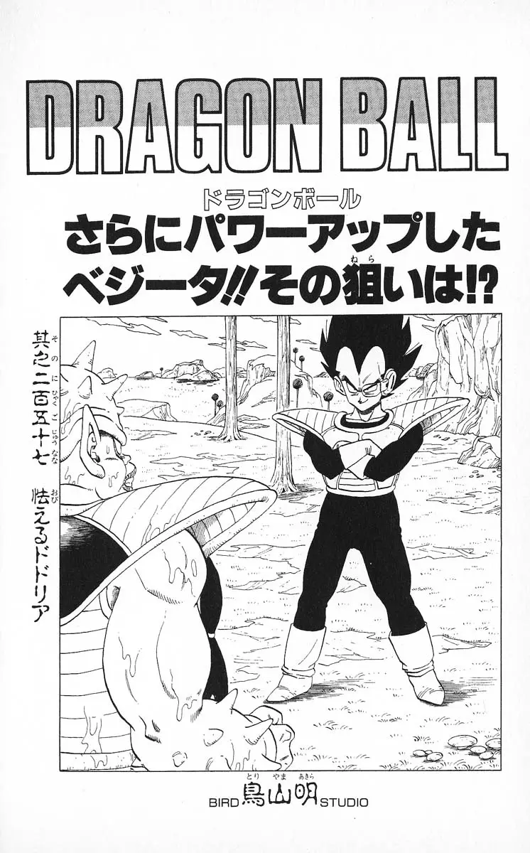 Chapitre 22 — Dragon Ball (Édition Japonaise) Vol. 22 — page 179