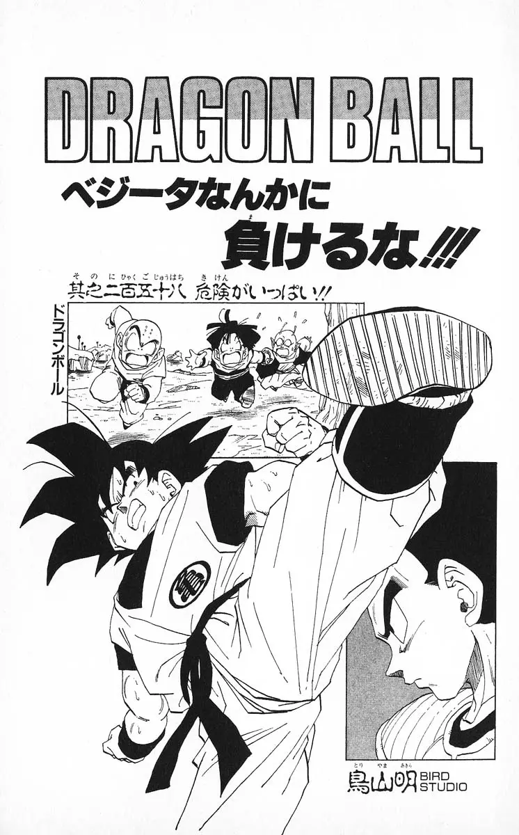 Chapitre 22 — Dragon Ball (Édition Japonaise) Vol. 22 — page 180