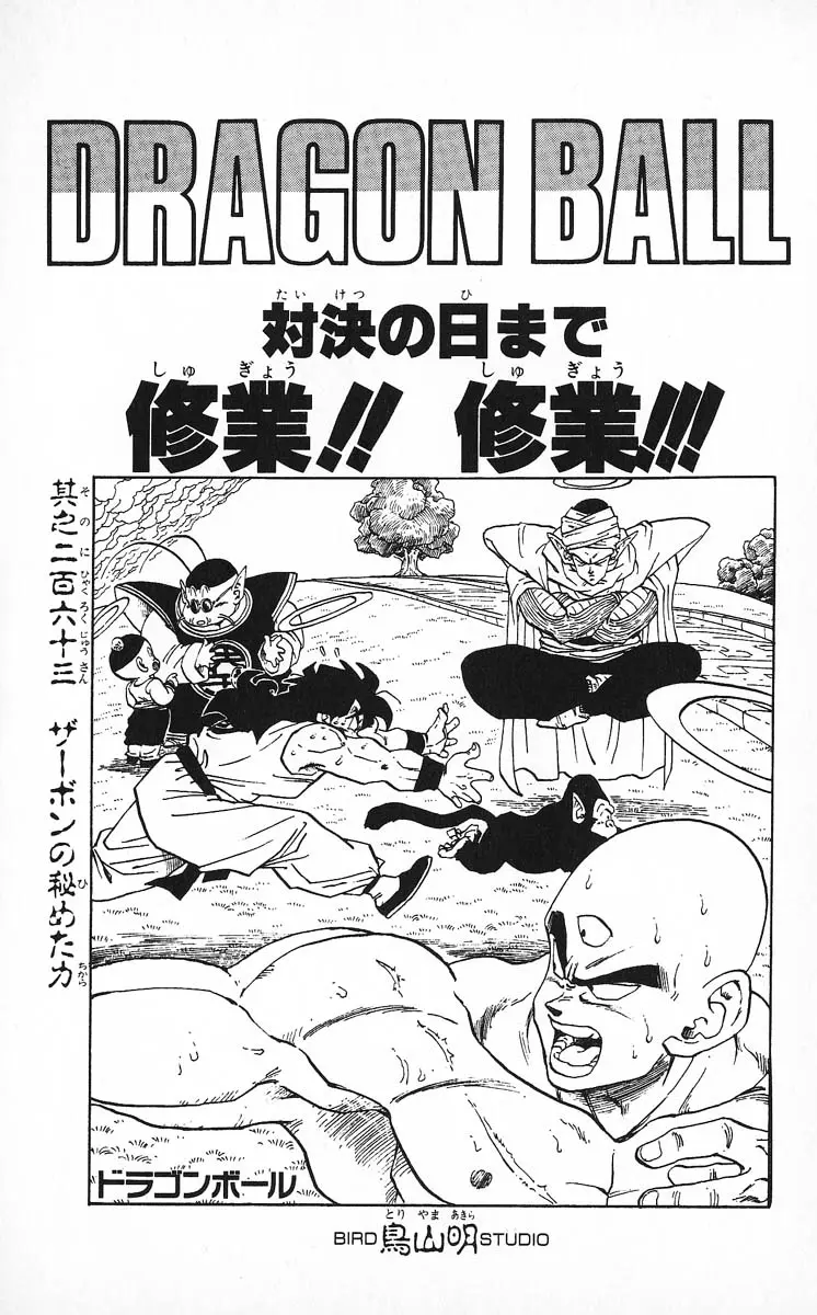 Chapitre 22 — Dragon Ball (Édition Japonaise) Vol. 22 — page 185