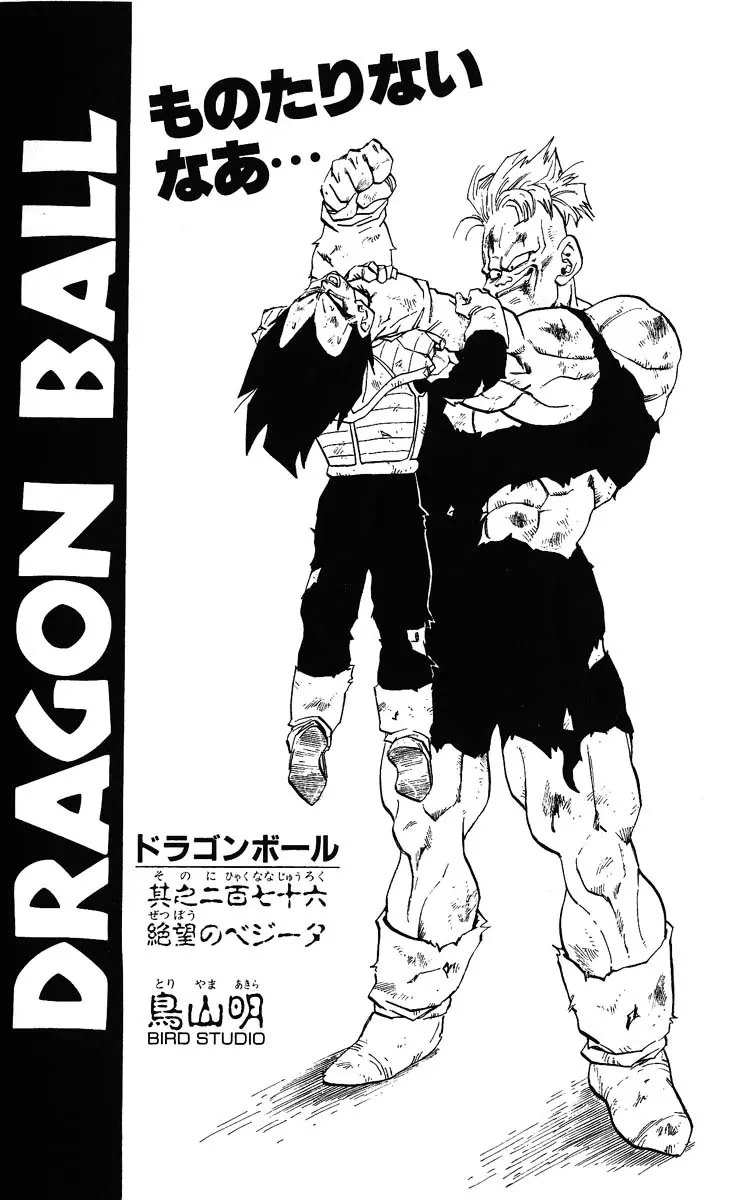 Chapitre 23 — Dragon Ball (Édition Japonaise) Vol. 23 — page 187