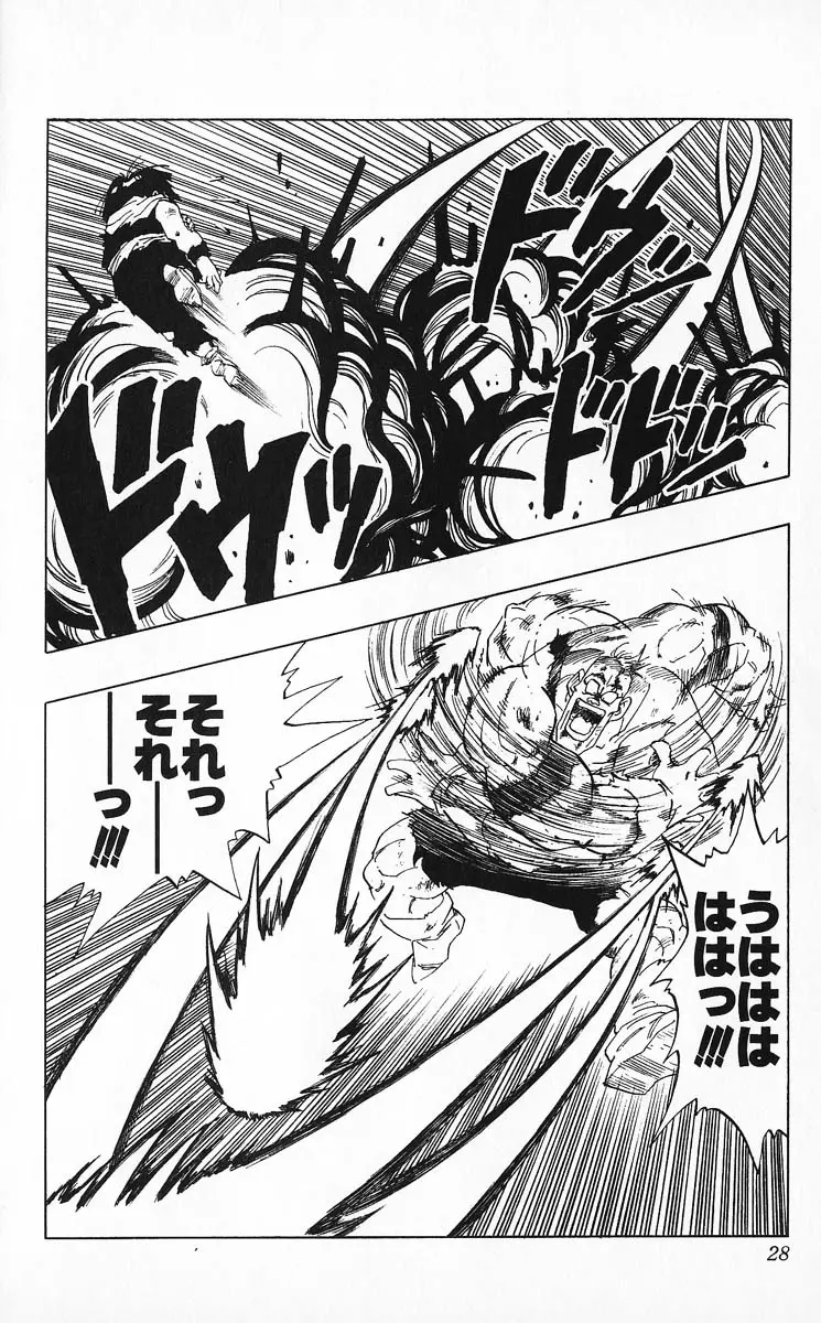 Chapitre 24 — Dragon Ball (Édition Japonaise) Vol. 24 — page 28