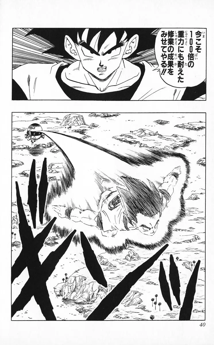 Chapitre 24 — Dragon Ball (Édition Japonaise) Vol. 24 — page 40