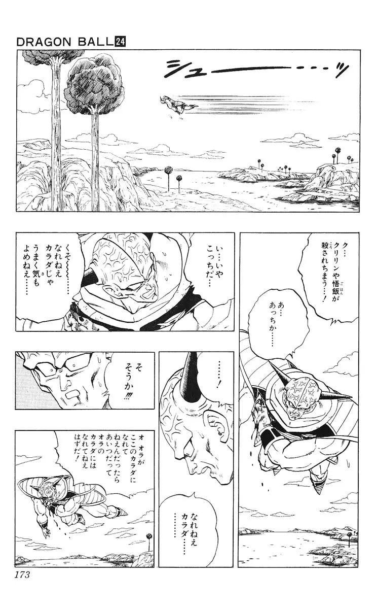 Chapitre 24 — Dragon Ball (Édition Japonaise) Vol. 24 — page 173