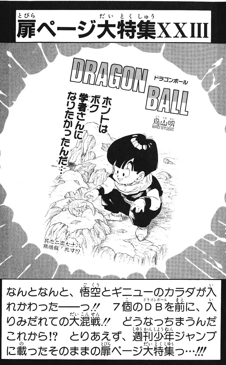 Chapitre 24 — Dragon Ball (Édition Japonaise) Vol. 24 — page 180