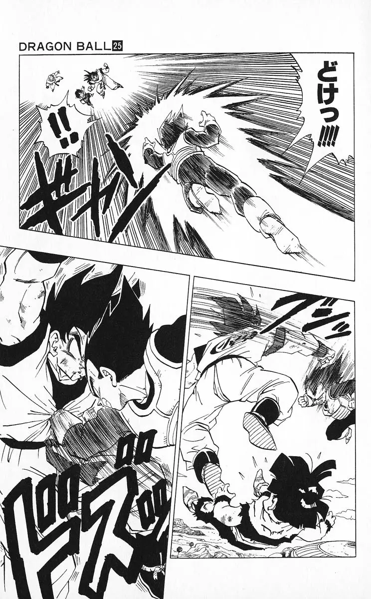 Chapitre 25 — Dragon Ball (Édition Japonaise) Vol. 25 — page 17