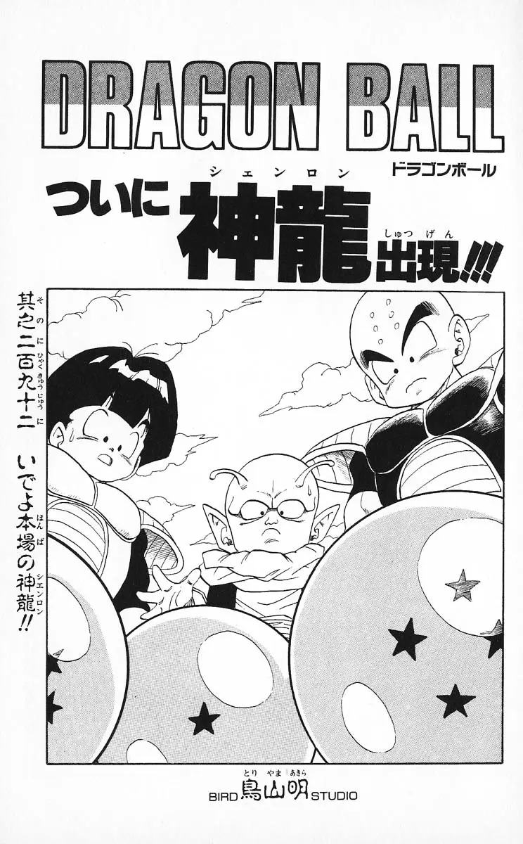 Chapitre 25 — Dragon Ball (Édition Japonaise) Vol. 25 — page 176