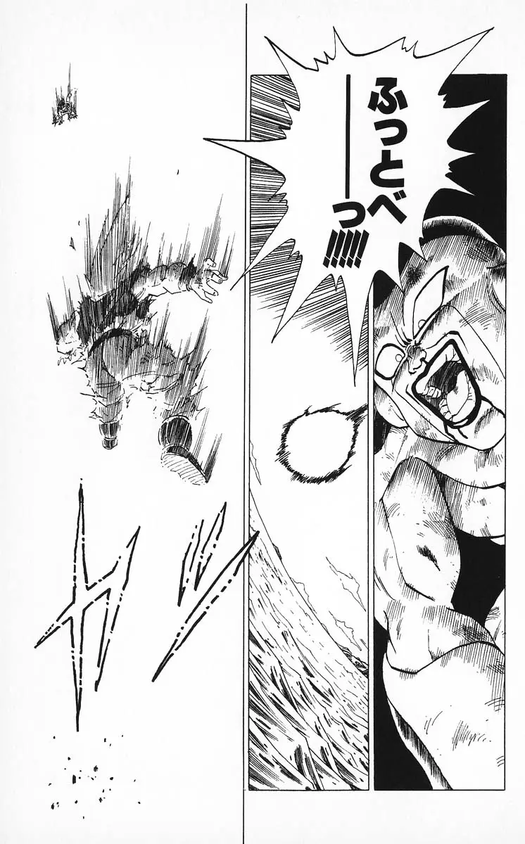 Chapitre 27 — Dragon Ball (Édition Japonaise) Vol. 27 — page 97