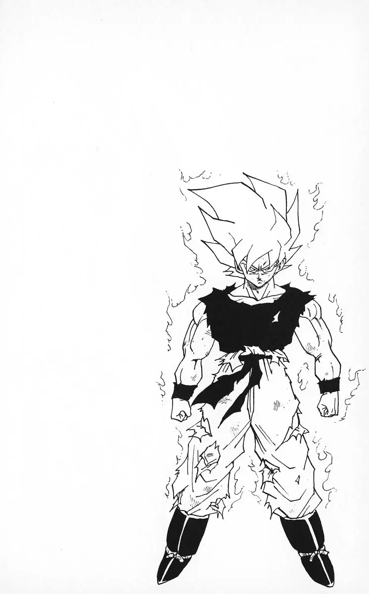 Chapitre 27 — Dragon Ball (Édition Japonaise) Vol. 27 — page 110