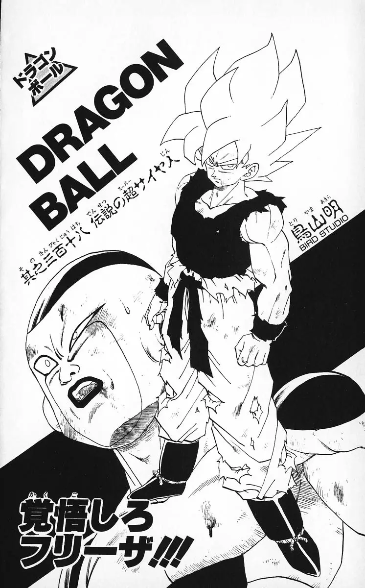 Chapitre 27 — Dragon Ball (Édition Japonaise) Vol. 27 — page 189