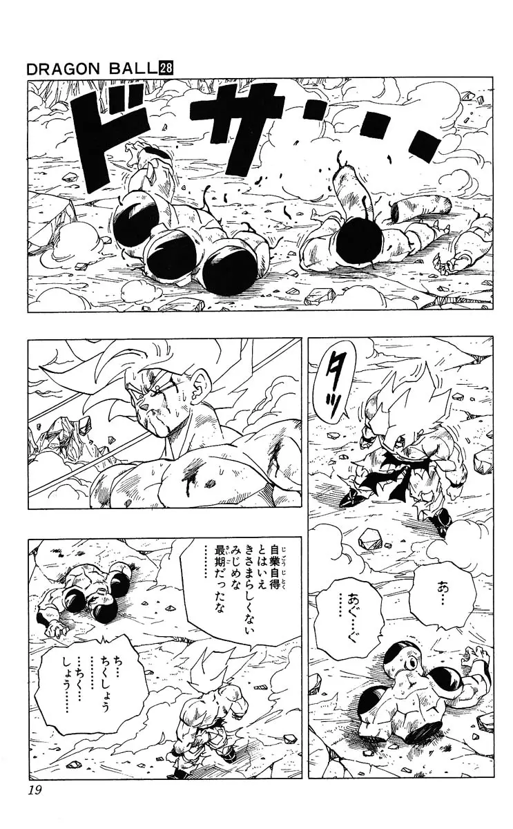 Chapitre 28 — Dragon Ball (Édition Japonaise) Vol. 28 — page 19