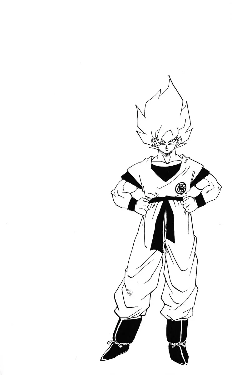 Chapitre 28 — Dragon Ball (Édition Japonaise) Vol. 28 — page 22