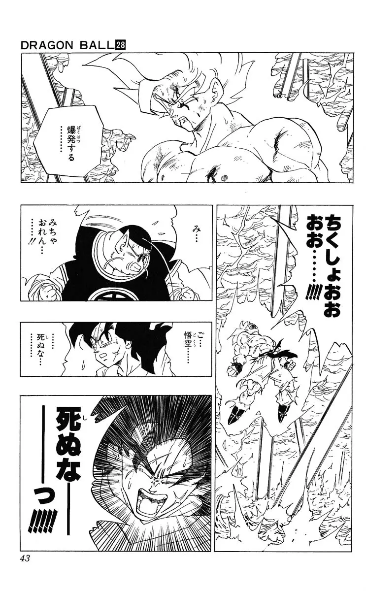 Chapitre 28 — Dragon Ball (Édition Japonaise) Vol. 28 — page 43
