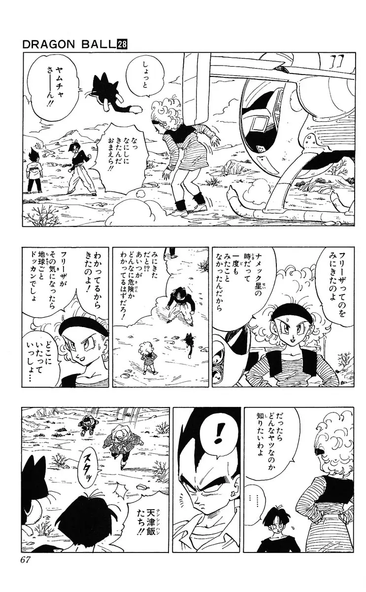 Chapitre 28 — Dragon Ball (Édition Japonaise) Vol. 28 — page 67