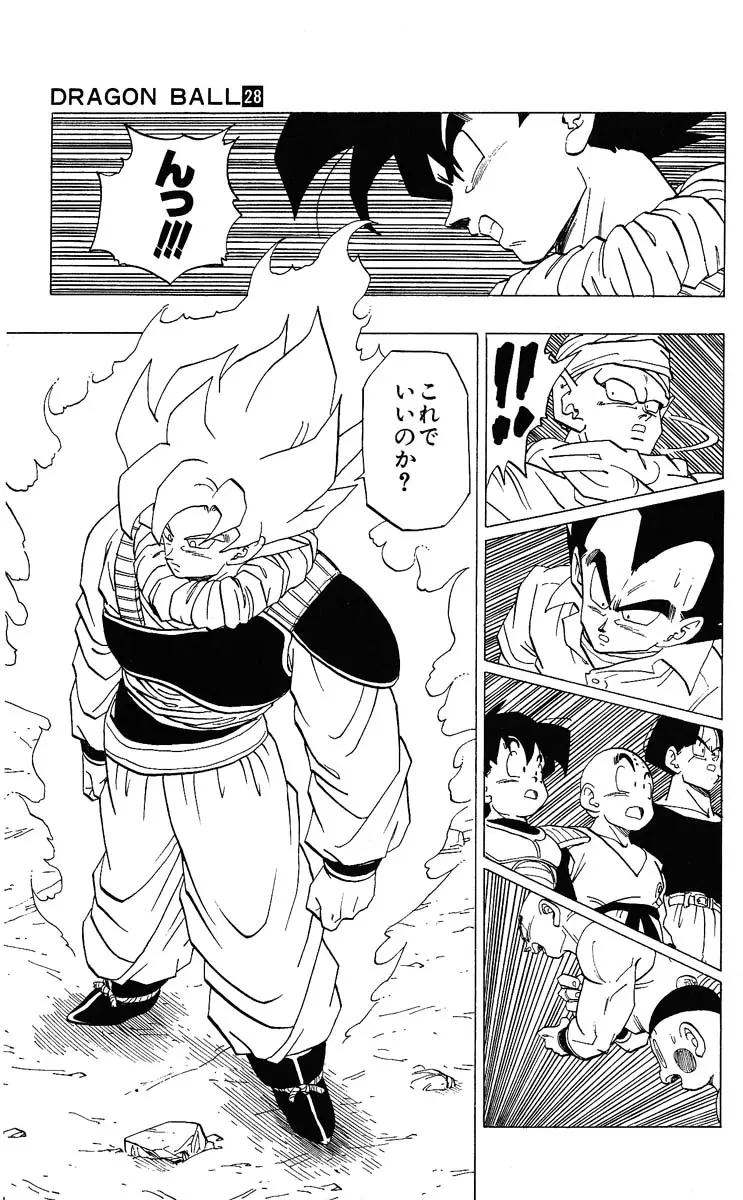 Chapitre 28 — Dragon Ball (Édition Japonaise) Vol. 28 — page 129
