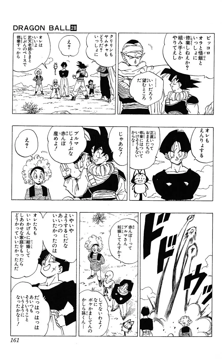 Chapitre 28 — Dragon Ball (Édition Japonaise) Vol. 28 — page 161