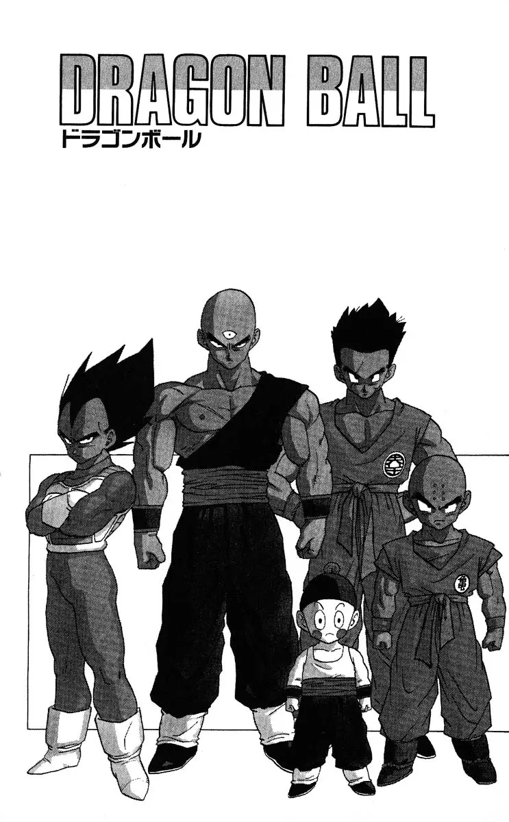 Chapitre 28 — Dragon Ball (Édition Japonaise) Vol. 28 — page 169