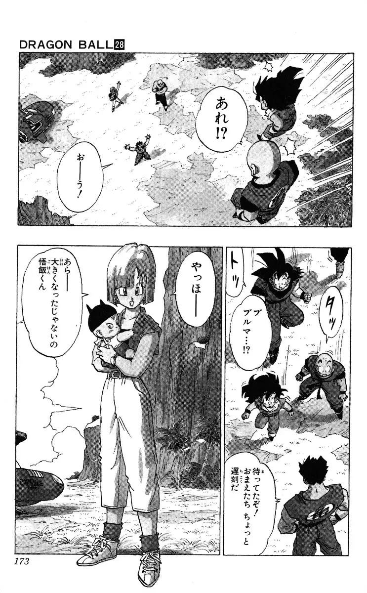 Chapitre 28 — Dragon Ball (Édition Japonaise) Vol. 28 — page 173