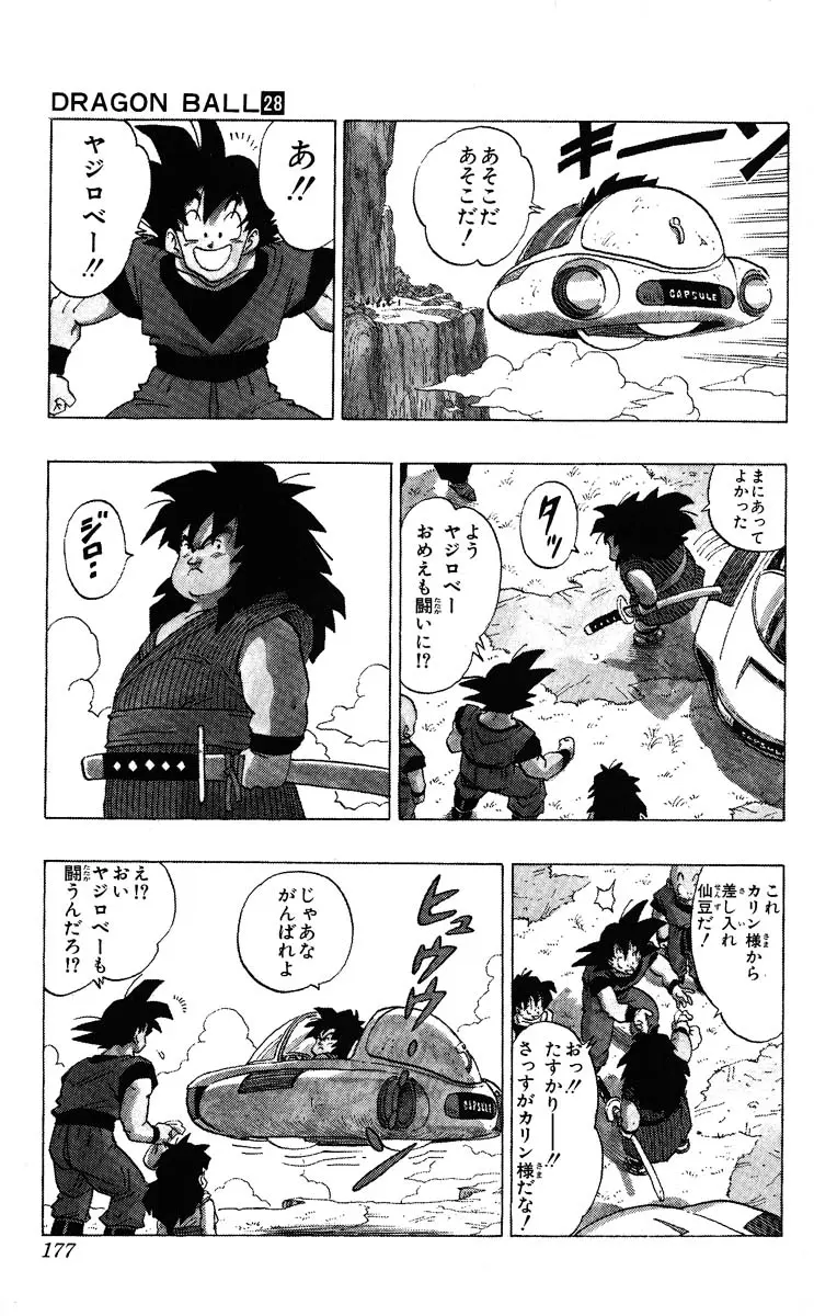 Chapitre 28 — Dragon Ball (Édition Japonaise) Vol. 28 — page 177
