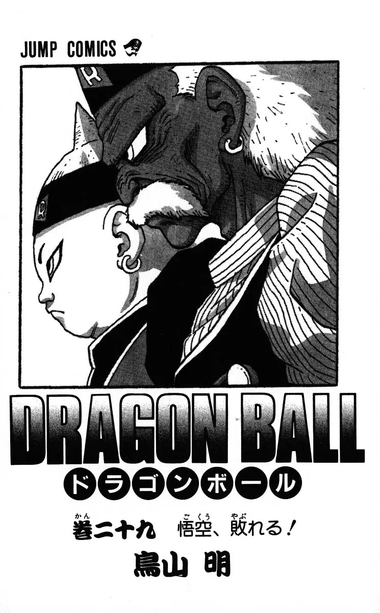 Chapitre 29 — Dragon Ball (Édition Japonaise) Vol. 29 — page 3