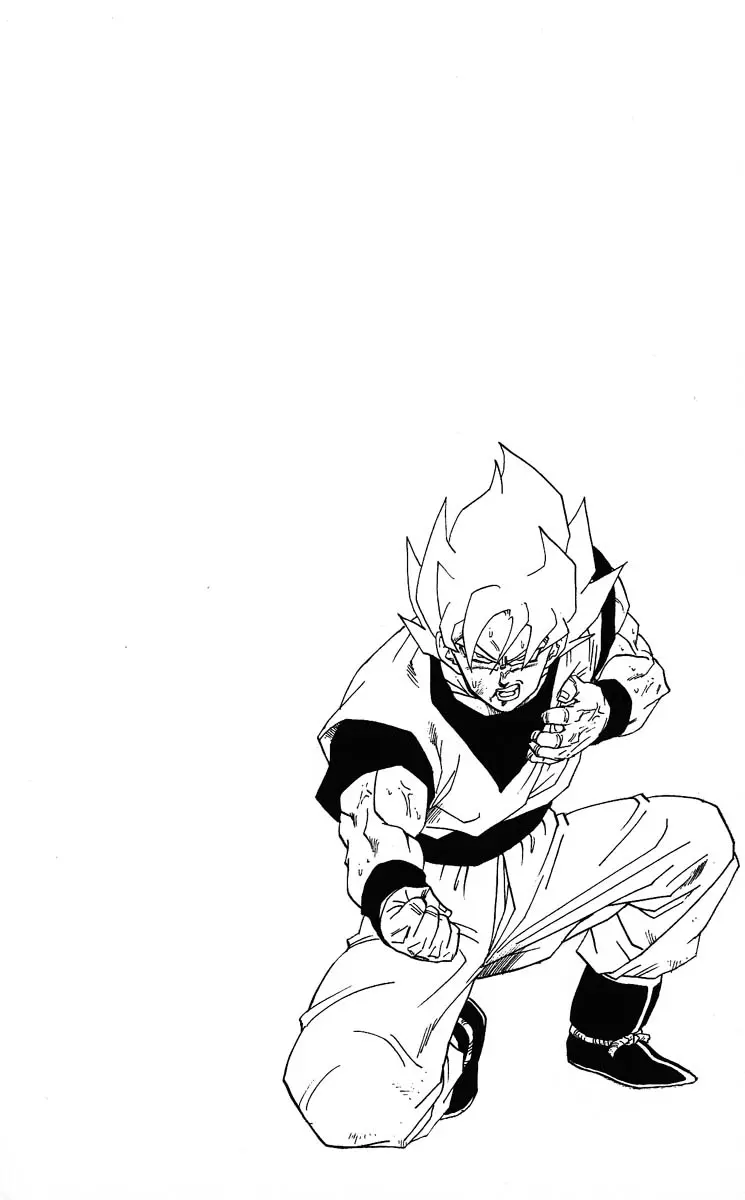 Chapitre 29 — Dragon Ball (Édition Japonaise) Vol. 29 — page 78
