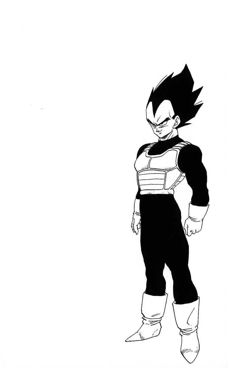 Chapitre 29 — Dragon Ball (Édition Japonaise) Vol. 29 — page 94