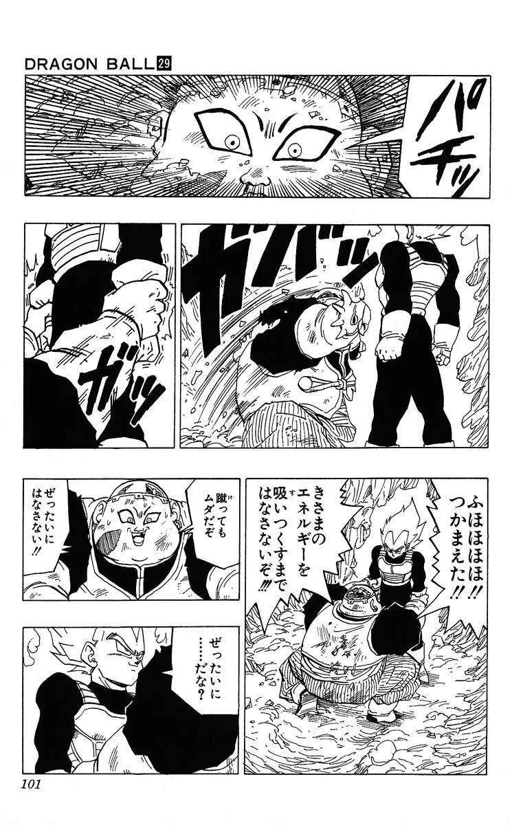 Chapitre 29 — Dragon Ball (Édition Japonaise) Vol. 29 — page 101