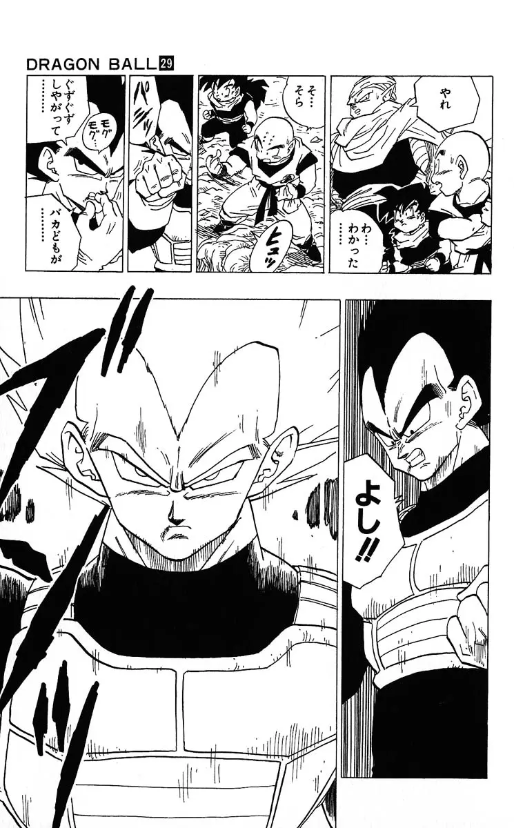 Chapitre 29 — Dragon Ball (Édition Japonaise) Vol. 29 — page 113