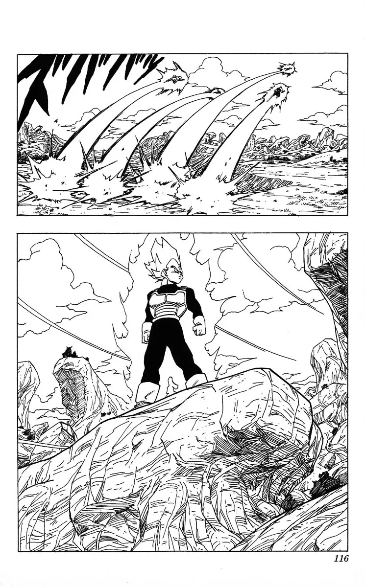 Chapitre 29 — Dragon Ball (Édition Japonaise) Vol. 29 — page 116
