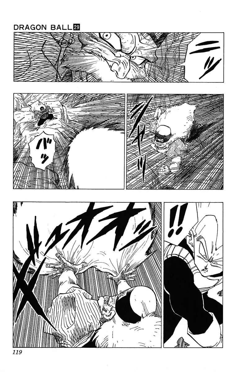 Chapitre 29 — Dragon Ball (Édition Japonaise) Vol. 29 — page 119